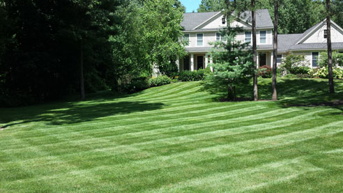 Albany Clifton Park Saratoga Lawn Care