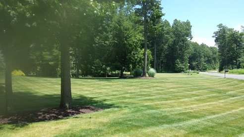 Saratoga Springs Clifton Park Albany Lawn Care Landscaping Service Winnie