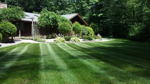 Saratoga Springs Clifton Park Albany Lawn Care Landscaping Service Winnie