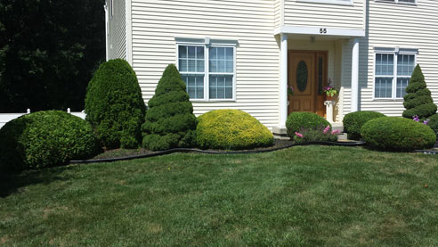 Saratoga Springs Clifton Park Albany Lawn Care Landscaping Service Winnie