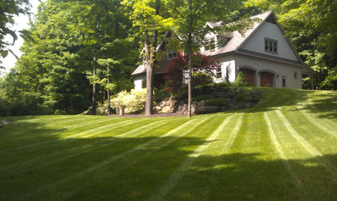 Saratoga Springs Clifton Park Albany Lawn Care Landscaping Service Winnie