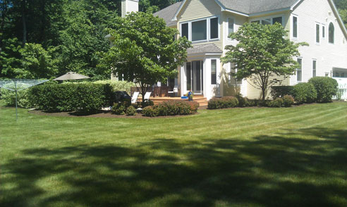 Saratoga Springs Clifton Park Albany Lawn Care Landscaping Service Winnie