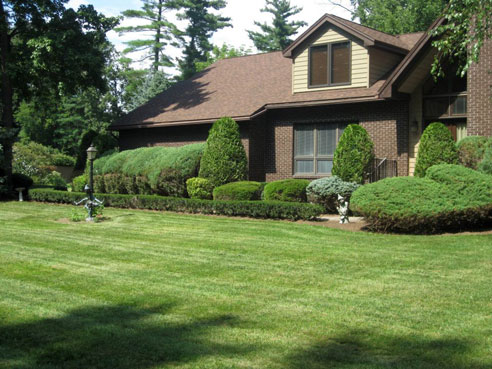 Saratoga Springs Clifton Park Albany Lawn Care Landscaping Service Winnie